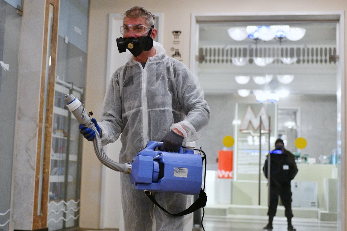 Дезинсекция организации: основные методы и особенности проведения