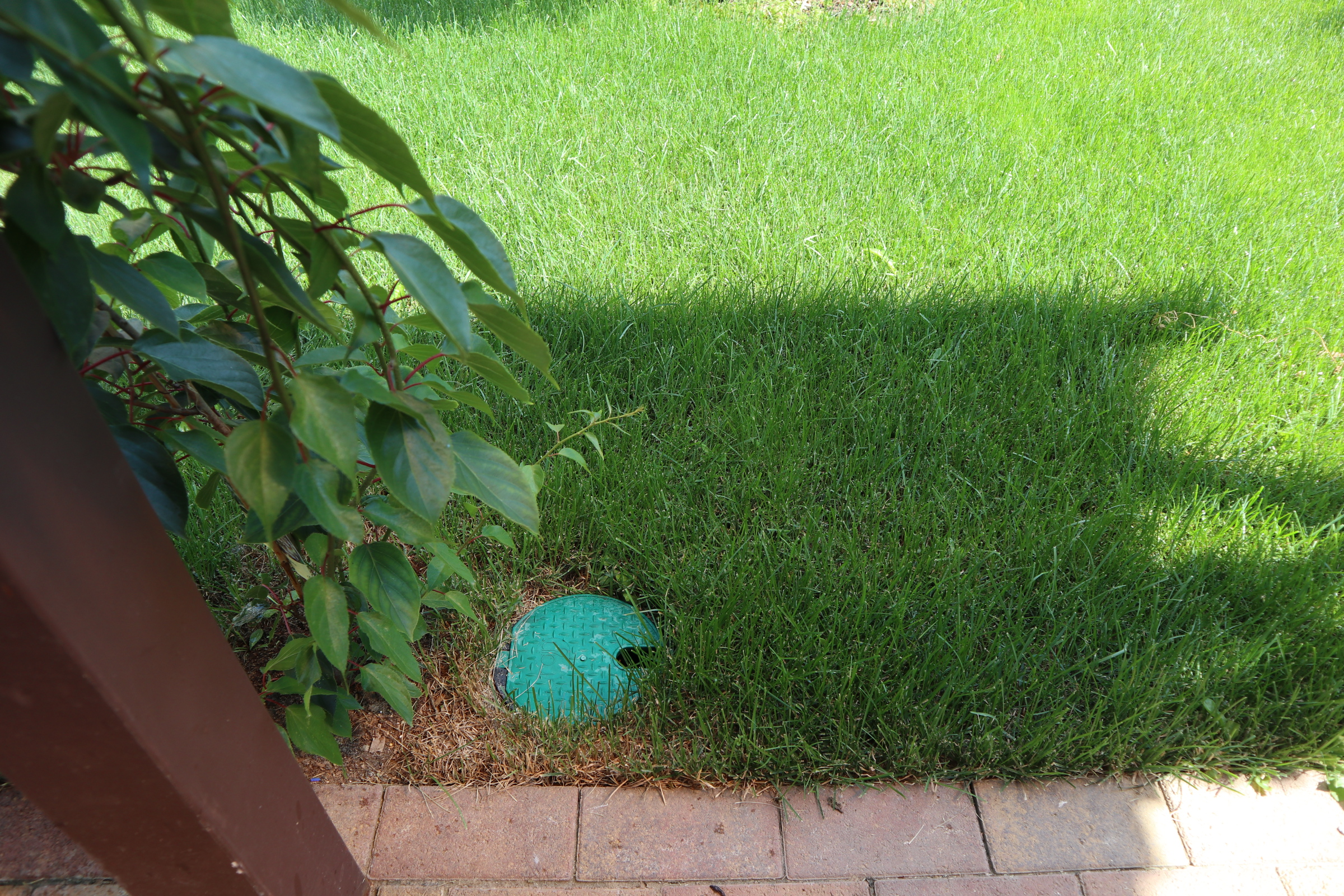 Как создать удобную систему полива для сада и огорода