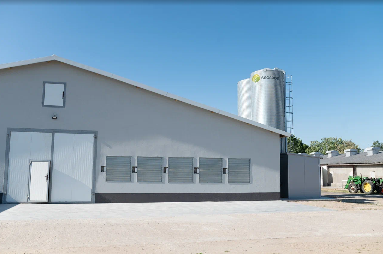 Содержание кур на птицефабрике