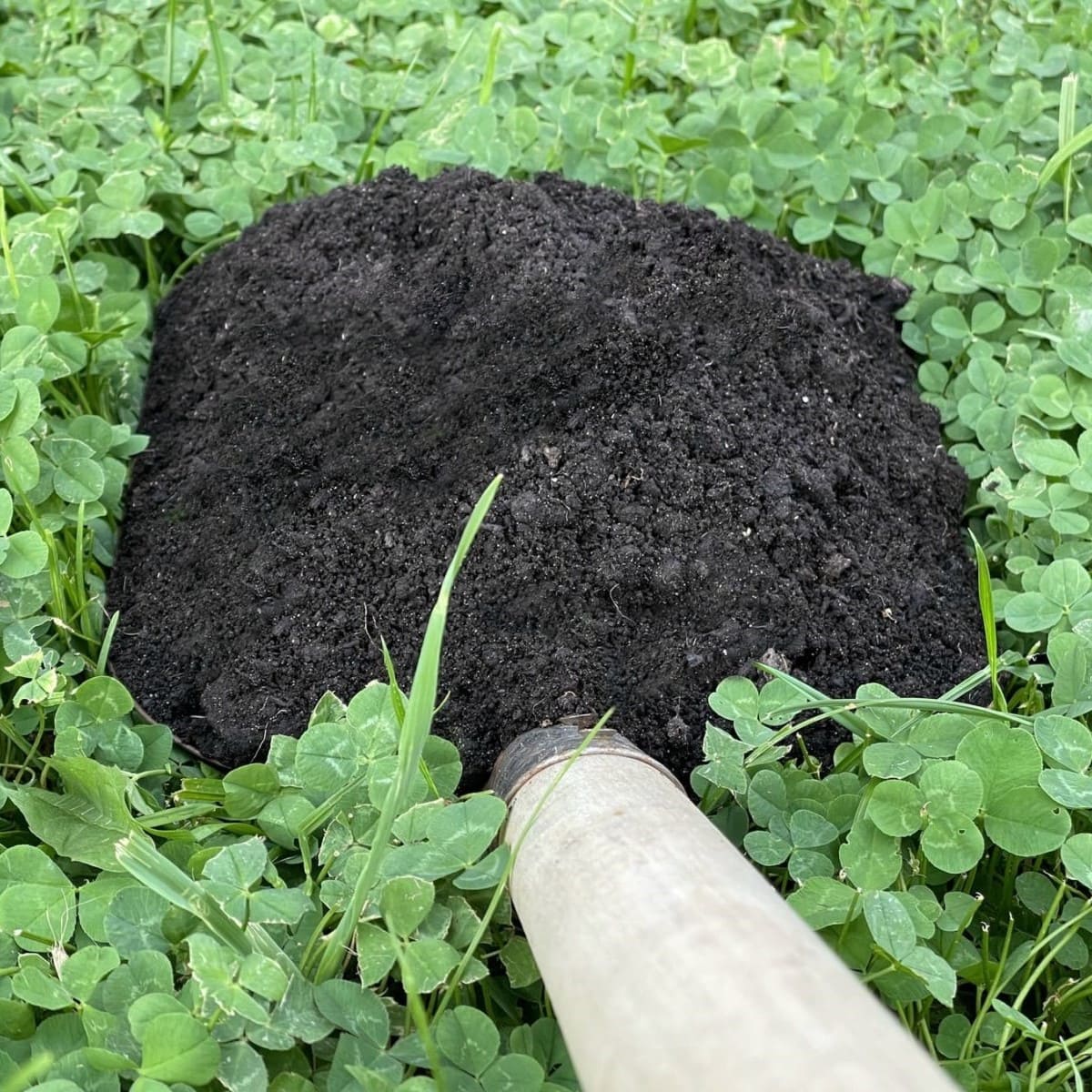 Как выбрать плодородный грунт с доставкой, чтобы получить максимум выгоды