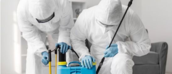 Виды деятельности санэпидемстанции