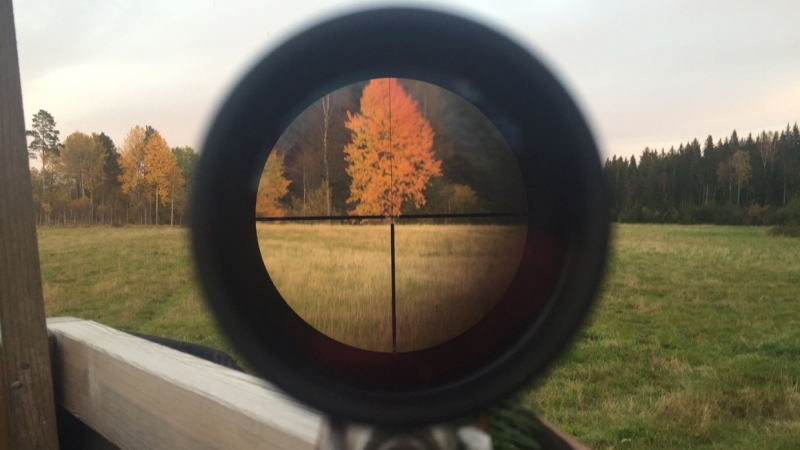 Хулигана с ружьем поймали по «горячим следам» на юге Петербурга