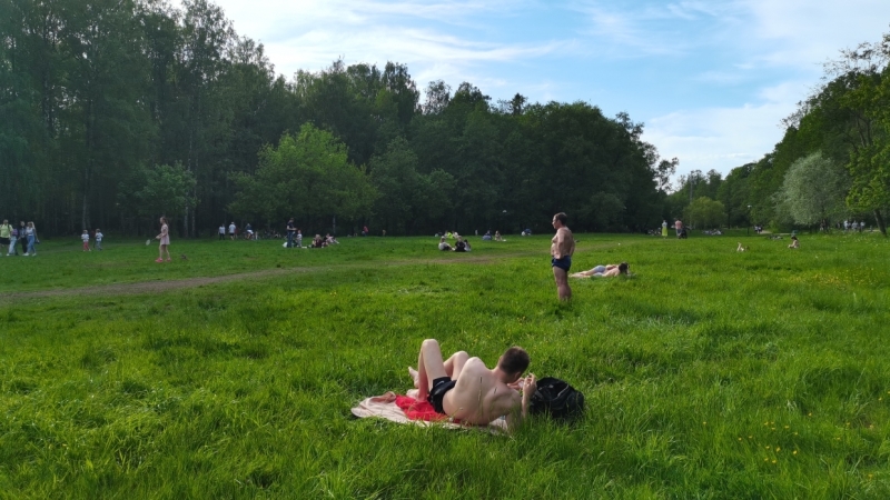 «Солнечно и жарко»: 13 июля в Петербурге будет 15 подряд сухой день