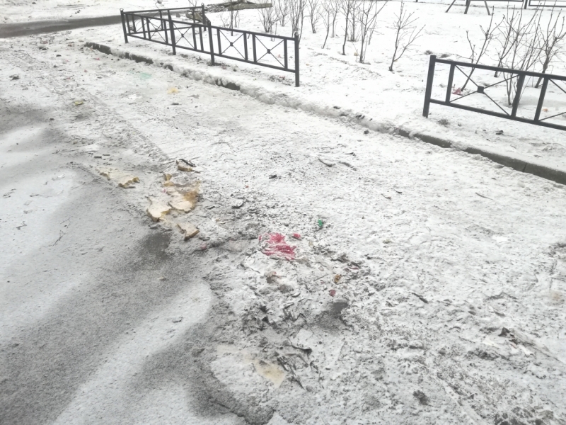 Стихийную свалку во дворе дома рядом с детсадом на 19-й линии В.О. ликвидировали