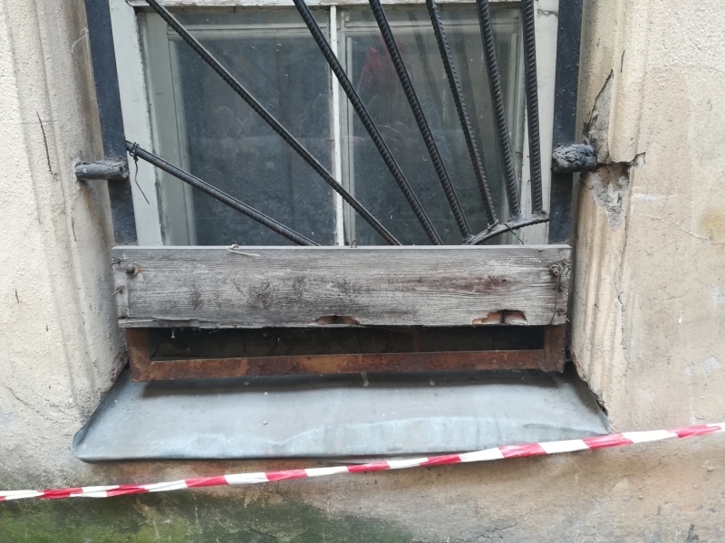 Жилкомсервис пообещал избавить двор дома на Литейном от крыс