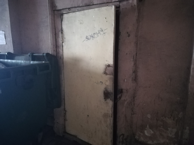 Жилкомсервис пообещал избавить двор дома на Литейном от крыс