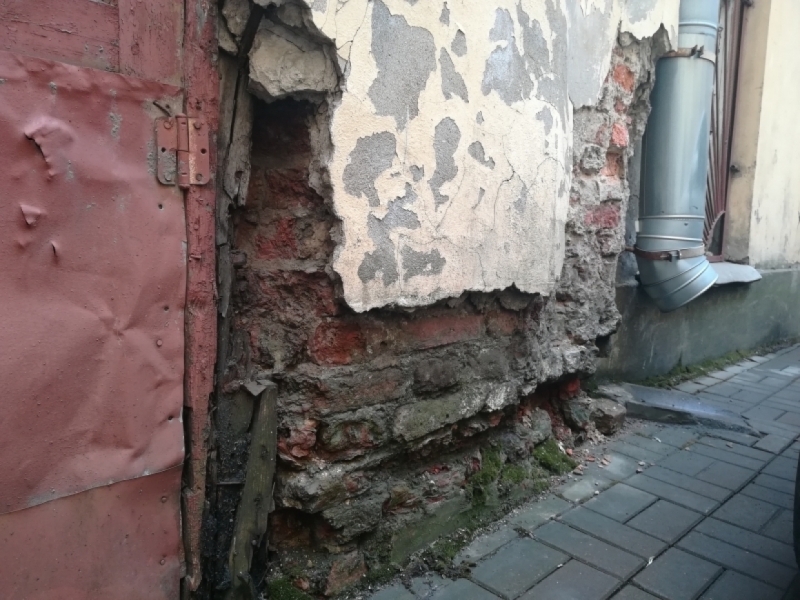 Жилкомсервис пообещал избавить двор дома на Литейном от крыс