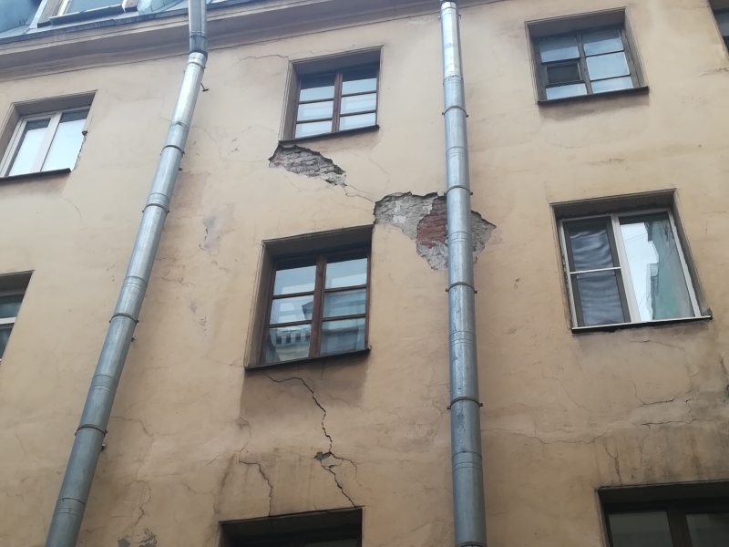 Жилкомсервис пообещал избавить двор дома на Литейном от крыс